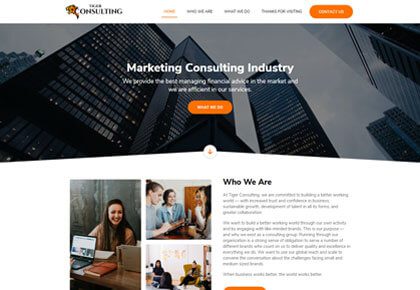 tiger-consulting